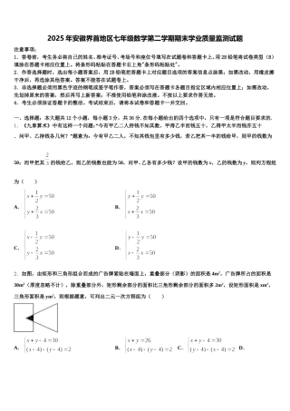 2025年安徽界首地区七年级数学第二学期期末学业质量监测试题含解析