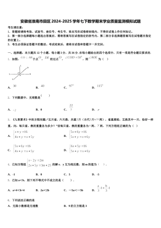 安徽省淮南市田区2024-2025学年七下数学期末学业质量监测模拟试题含解析