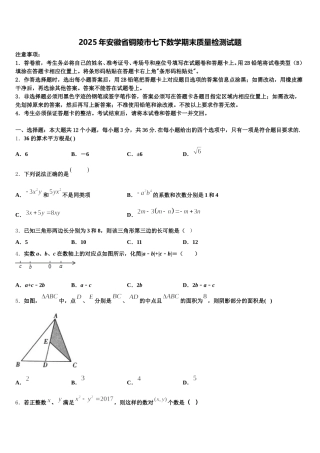 2025年安徽省铜陵市七下数学期末质量检测试题含解析