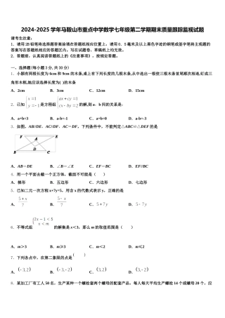 2024-2025学年马鞍山市重点中学数学七年级第二学期期末质量跟踪监视试题含解析