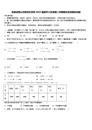 安徽省黄山市新世纪学校2025届数学七年级第二学期期末检测模拟试题含解析