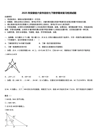 2025年安徽省六安市名校七下数学期末复习检测试题含解析