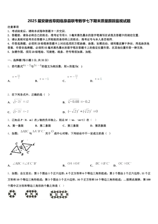 2025届安徽省阜阳临泉县联考数学七下期末质量跟踪监视试题含解析
