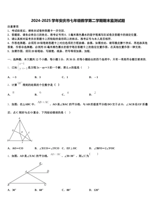2024-2025学年安庆市七年级数学第二学期期末监测试题含解析