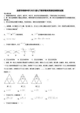 合肥市寿春中学2025届七下数学期末质量检测模拟试题含解析