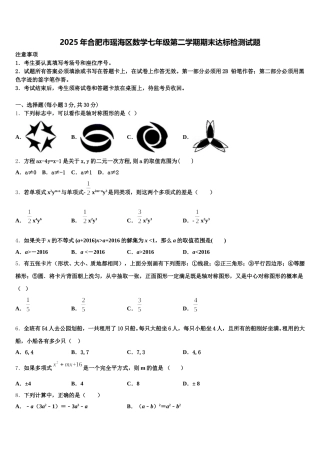 2025年合肥市瑶海区数学七年级第二学期期末达标检测试题含解析