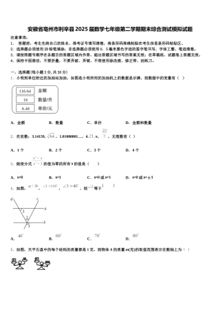 安徽省亳州市利辛县2025届数学七年级第二学期期末综合测试模拟试题含解析