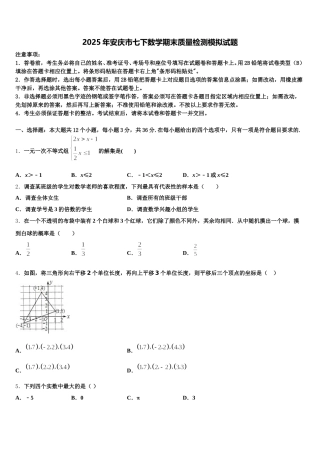 2025年安庆市七下数学期末质量检测模拟试题含解析