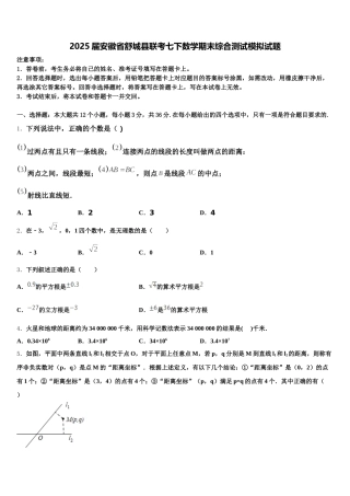 2025届安徽省舒城县联考七下数学期末综合测试模拟试题含解析