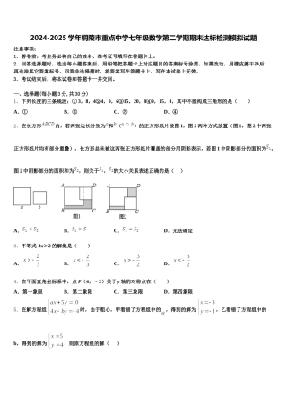 2024-2025学年铜陵市重点中学七年级数学第二学期期末达标检测模拟试题含解析