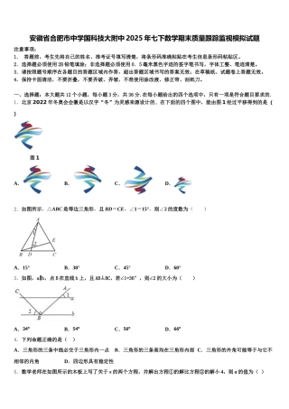 安徽省合肥市中学国科技大附中2025年七下数学期末质量跟踪监视模拟试题含解析