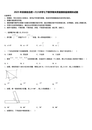 2025年安徽省合肥一六八中学七下数学期末质量跟踪监视模拟试题含解析