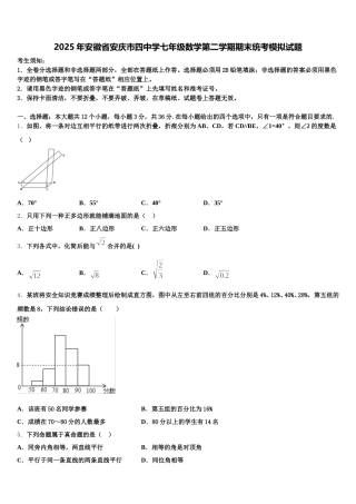 2025年安徽省安庆市四中学七年级数学第二学期期末统考模拟试题含解析
