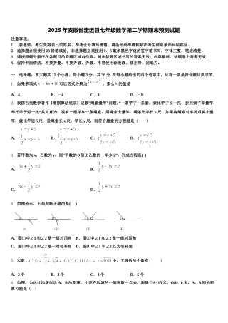 2025年安徽省定远县七年级数学第二学期期末预测试题含解析