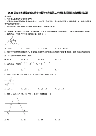 2025届安徽省蚌埠新城实验学校数学七年级第二学期期末质量跟踪监视模拟试题含解析