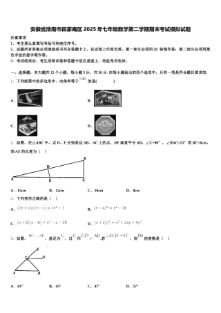 安徽省淮南市田家庵区2025年七年级数学第二学期期末考试模拟试题含解析