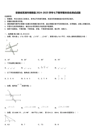 安徽省芜湖市南陵县2024-2025学年七下数学期末综合测试试题含解析