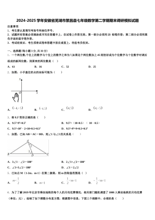 2024-2025学年安徽省芜湖市繁昌县七年级数学第二学期期末调研模拟试题含解析