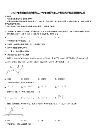 2025年安徽省安庆市桐城二中七年级数学第二学期期末学业质量监测试题含解析