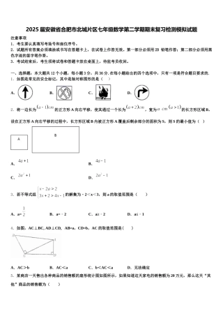 2025届安徽省合肥市北城片区七年级数学第二学期期末复习检测模拟试题含解析