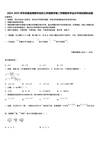2024-2025学年安徽省铜陵市名校七年级数学第二学期期末学业水平测试模拟试题含解析