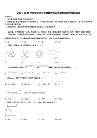 2024-2025学年安庆市七年级数学第二学期期末统考模拟试题含解析