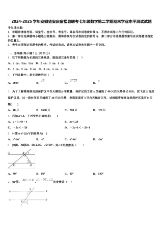 2024-2025学年安徽省安庆宿松县联考七年级数学第二学期期末学业水平测试试题含解析