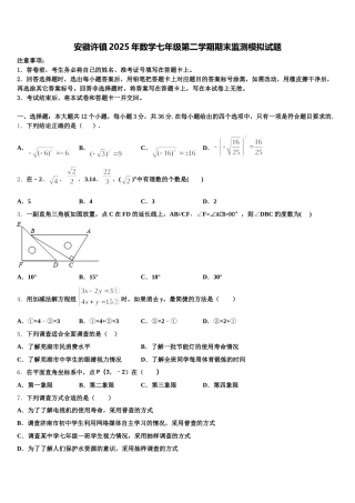 安徽许镇2025年数学七年级第二学期期末监测模拟试题含解析