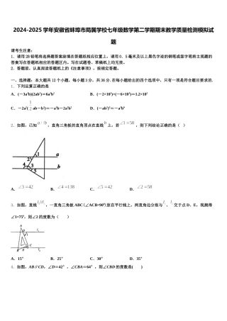 2024-2025学年安徽省蚌埠市局属学校七年级数学第二学期期末教学质量检测模拟试题含解析