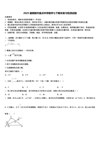 2025届铜陵市重点中学数学七下期末复习检测试题含解析