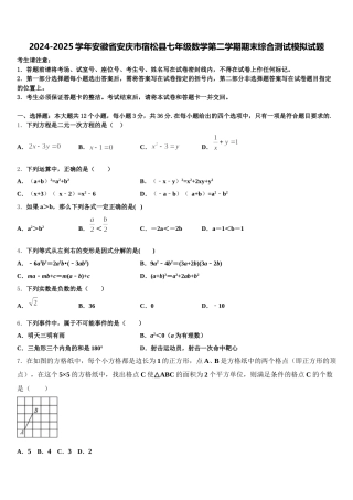 2024-2025学年安徽省安庆市宿松县七年级数学第二学期期末综合测试模拟试题含解析