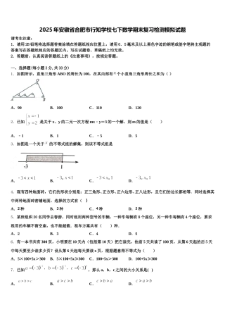 2025年安徽省合肥市行知学校七下数学期末复习检测模拟试题含解析