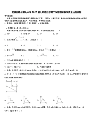 安徽省宿州第九中学2025届七年级数学第二学期期末教学质量检测试题含解析