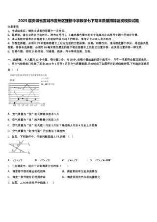 2025届安徽省宣城市宣州区狸桥中学数学七下期末质量跟踪监视模拟试题含解析