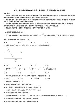 2025届池州市重点中学数学七年级第二学期期末复习检测试题含解析