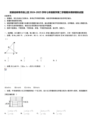 安徽省蚌埠市淮上区2024-2025学年七年级数学第二学期期末调研模拟试题含解析