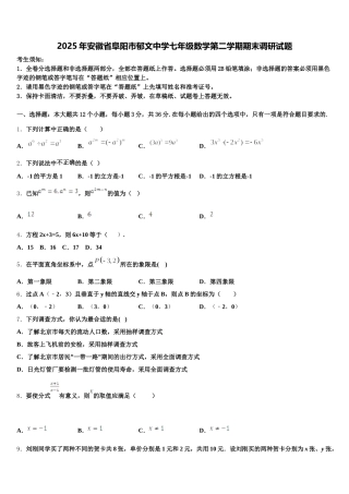2025年安徽省阜阳市郁文中学七年级数学第二学期期末调研试题含解析
