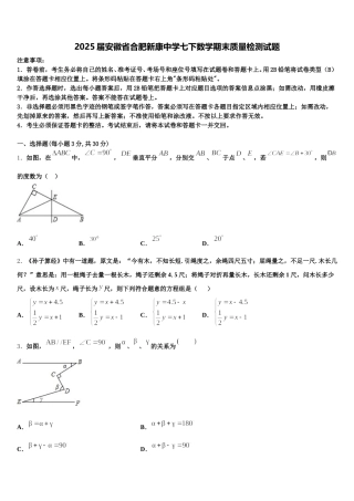 2025届安徽省合肥新康中学七下数学期末质量检测试题含解析