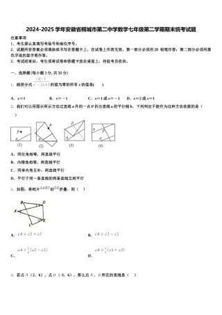 2024-2025学年安徽省桐城市第二中学数学七年级第二学期期末统考试题含解析