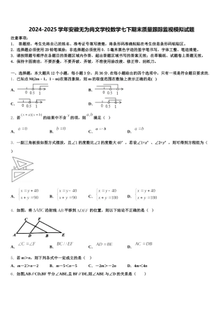 2024-2025学年安徽无为尚文学校数学七下期末质量跟踪监视模拟试题含解析