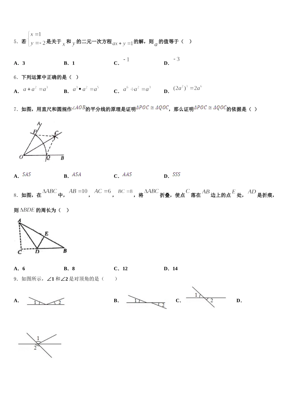 2025年安徽省安庆宿松县联考数学七年级第二学期期末复习检测模拟试题含解析_第2页
