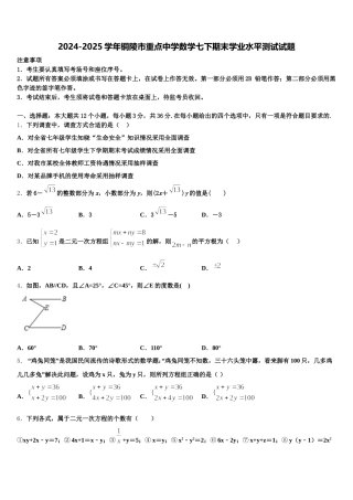 2024-2025学年铜陵市重点中学数学七下期末学业水平测试试题含解析