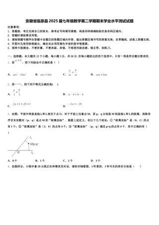 安徽省临泉县2025届七年级数学第二学期期末学业水平测试试题含解析