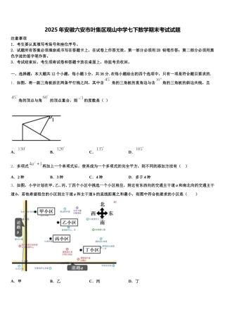 2025年安徽六安市叶集区观山中学七下数学期末考试试题含解析