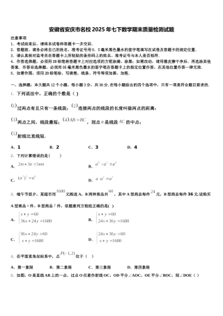 安徽省安庆市名校2025年七下数学期末质量检测试题含解析