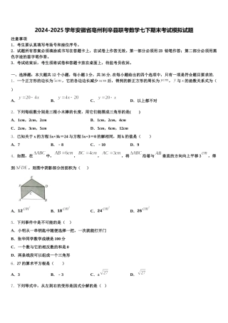 2024-2025学年安徽省亳州利辛县联考数学七下期末考试模拟试题含解析