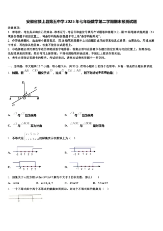 安徽省颍上县第五中学2025年七年级数学第二学期期末预测试题含解析