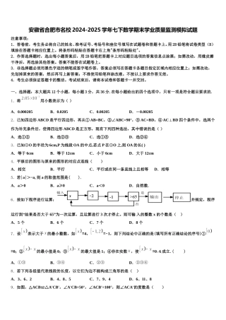 安徽省合肥市名校2024-2025学年七下数学期末学业质量监测模拟试题含解析