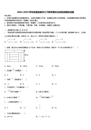 2024-2025学年安徽省宿州七下数学期末达标检测模拟试题含解析