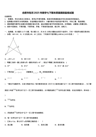 合肥市包河2025年数学七下期末质量跟踪监视试题含解析